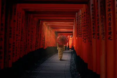 京都府の伏見稲荷大社に眠る神話の正体は？